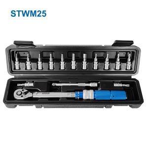 TORQUE WRENCH WITH BIT SET